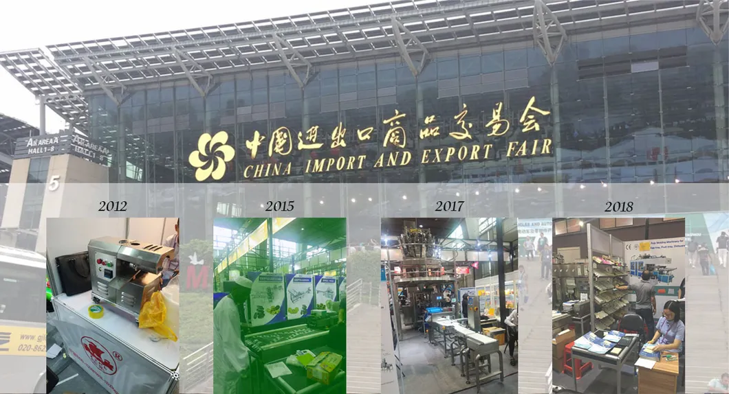 100 Ex-Factory Price Stainless Steel Solid-Ink Coding Machine (Iron) Wide Spray Date Printer