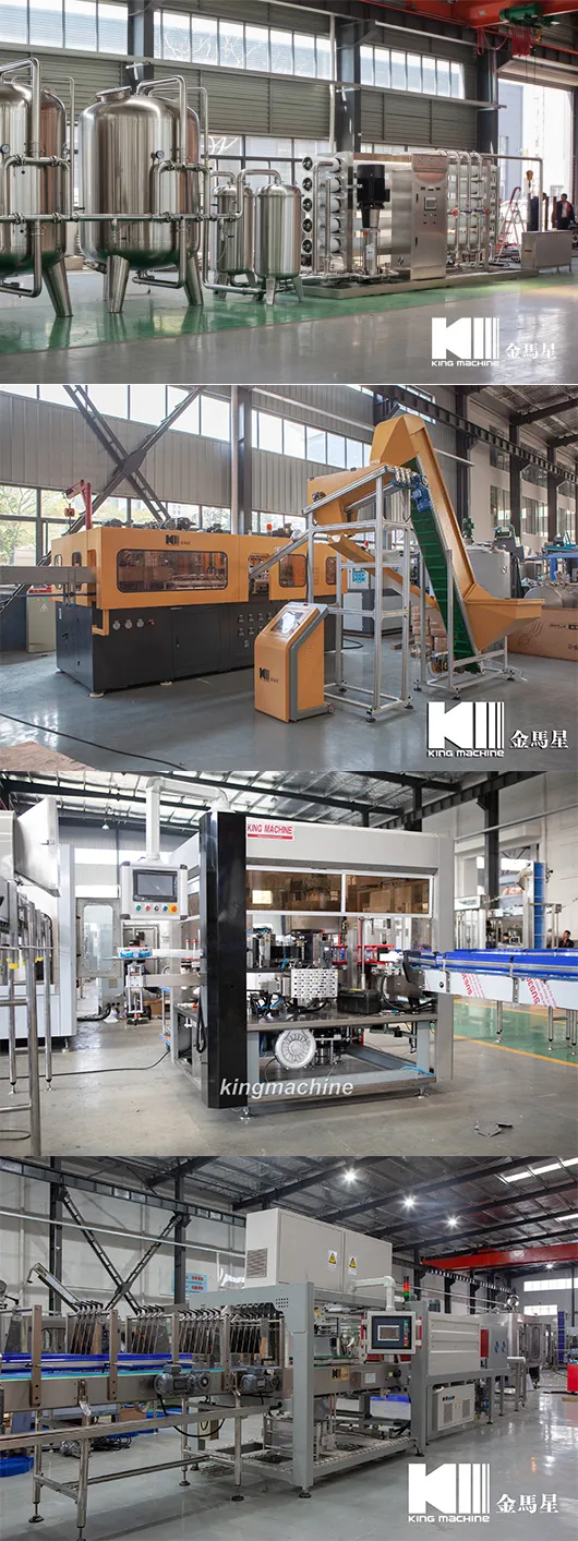 2, 000-36, 000bph Water Bottling Plant Production Line From a to Z