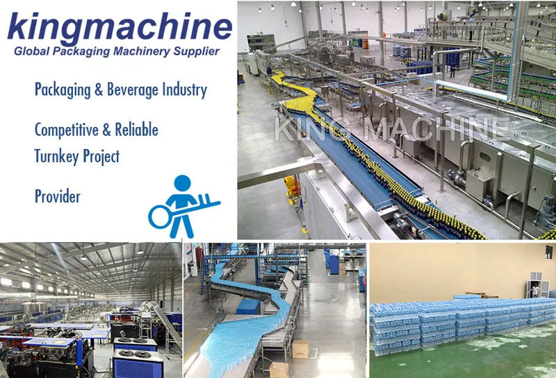 2, 000-36, 000bph Water Bottling Plant Production Line From a to Z