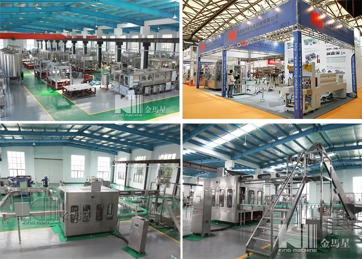2000bph Glass Bottle Juice Packaging Plant