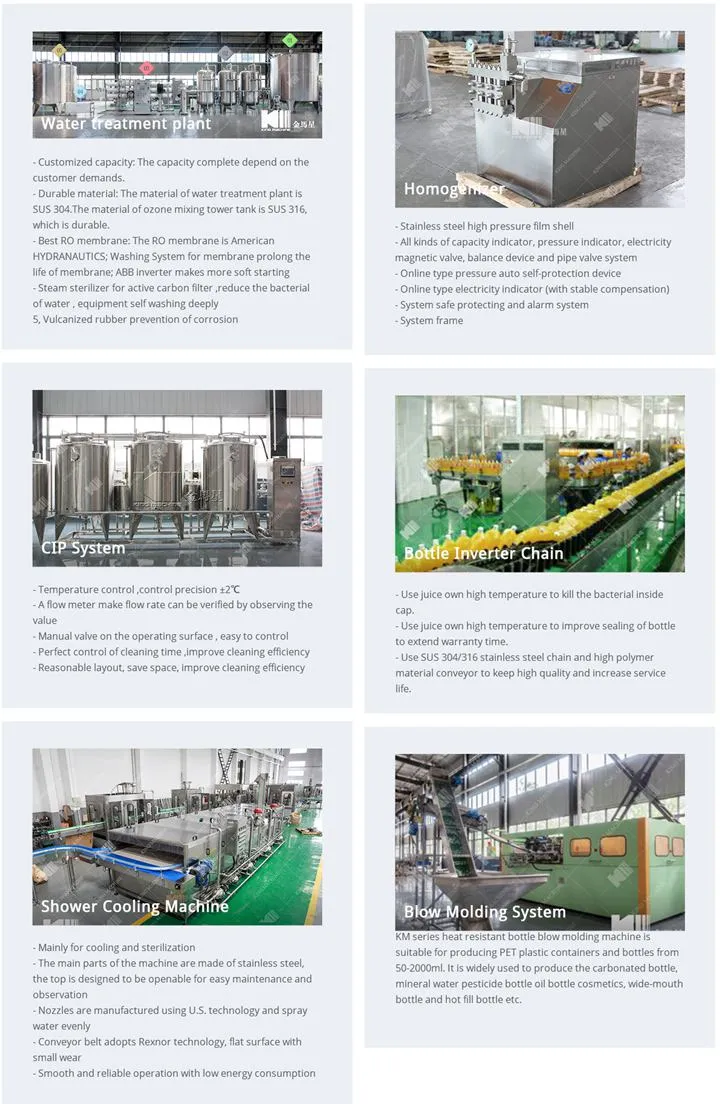 2000bph Glass Bottle Juice Packaging Plant