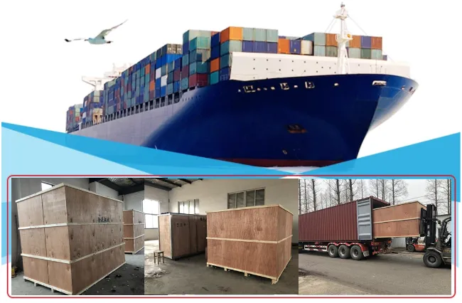 200ml 250ml 310ml 330ml 12oz 16oz 500ml Standard Stubby Sleek Slim Empty Blank Printing Aluminum Beverage Beer Soda Can with 200 202 206 Sot Rpt Easy Open End