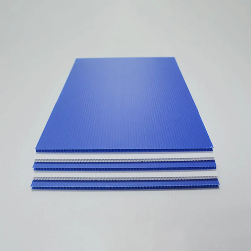 Why Is PP Hollow Sheet Becoming the Preferred Material for Modern Packaging and Protection?