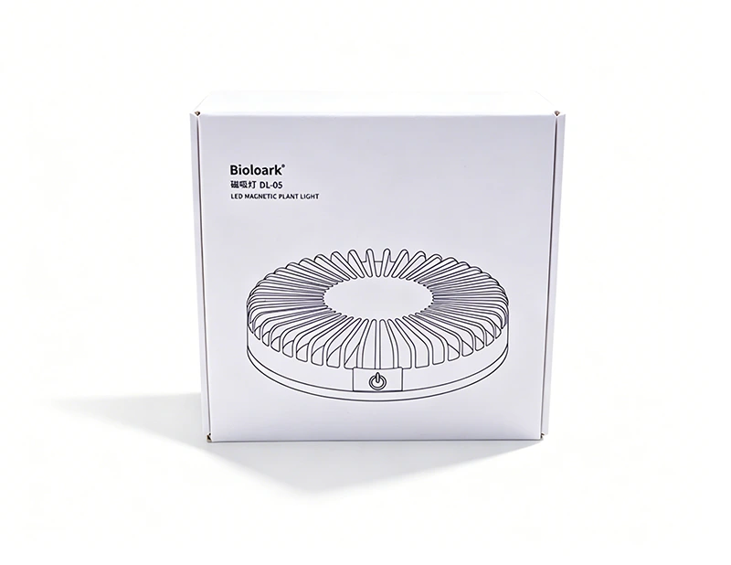 Are White Cardboard Shipping Boxes Recyclable and Eco-Friendly