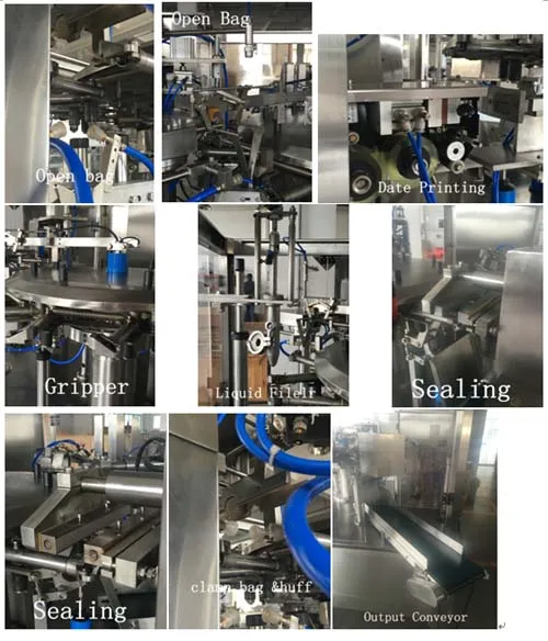 Automatic Bag Given Packing Machine for Pet Powder Food