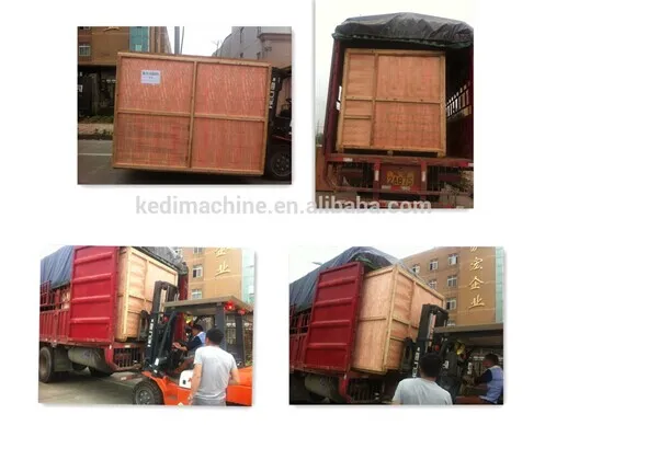 Automatic Bagging Machine for Pet Food
