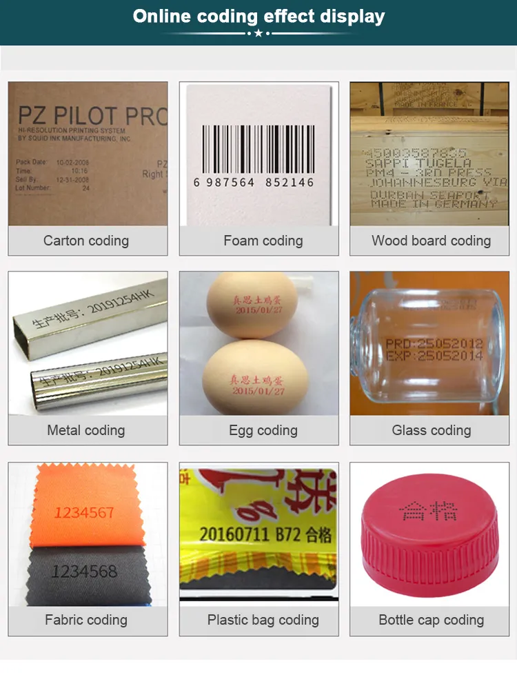 Automatic Food Package Poly Bag Marking Industrial Inkjet Printer