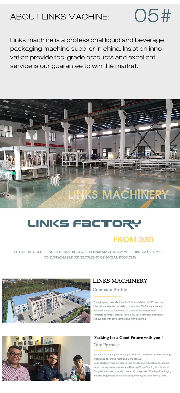Automatic Juice/ Soft Drink /Water / Energy Drink, Carbonated Drink / Tea Drink / Beer Sparking Wine Glass Bottle Filling Machine