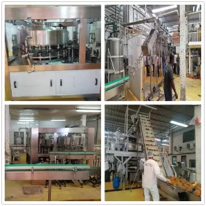 Automatic Pet Bottle Juice Energy Drink Carbonated Drink Mineral Drinking Pure Water Beverage Bottling Filling Machine Plant Turnkey Production Line Equipment