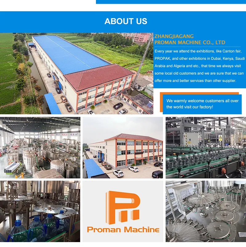 Automatic Plastic Bottle Blowing Bottling Pet Bottled Beverage Pure Mineral Drinking Water Washing Filling Capping 3-in-1 Machine