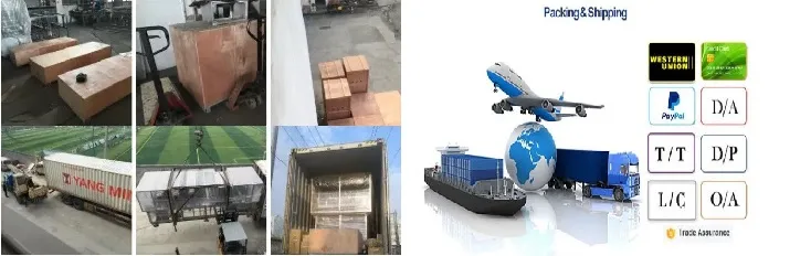 Automatic Turntable Communion Plastic Cup Filling Sealing Machine