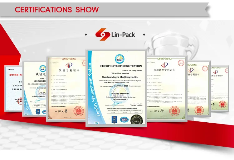 Automatic Zipper Pouch Beef Jerky Rotary Packaging Machinery with Elevator