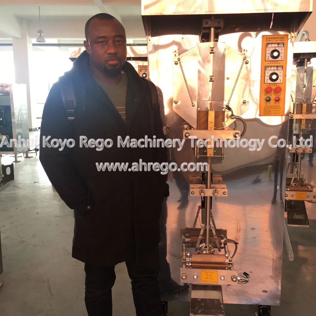 Bag Drink Water Packing Machine