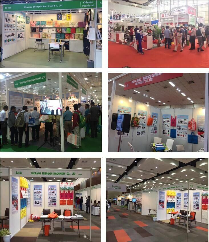 Biodegradable Bag Making Machine for Non Woven Box Bag Machine (ZXL-C700)