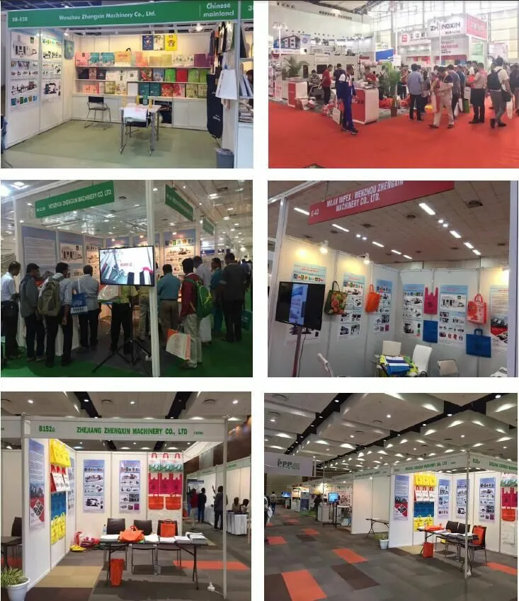 Biodegradable Spunbond Non Woven Bag Making Machine (ZXL-C700)