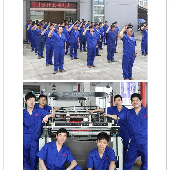 Disposable Bag Making Machine (AW-C700-800)