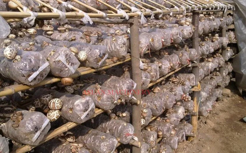 Electric Mushroom Bag Sealer/Shiitake Substrate Bag Binder Sealing Machine/Fungus Film Bag Tying Machine