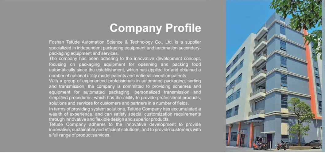 Factory Direct Bottom Film Roll Horizontal Packing Machine Flow Wrapping Machine Foshan Guangdong Manufacturer