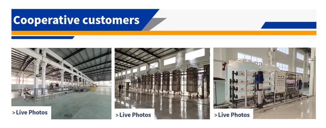 Factory Sale Soy Sauce Honey Tomato Paste Production Making Filling Piston Bottling Machine