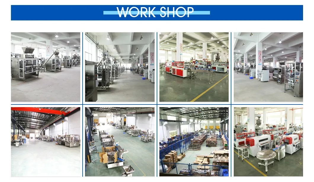 Fully Automatic Big Volume Cream/Liquid Filling Packing Machine (AFL-840)