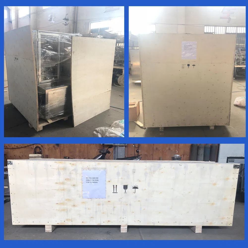 Good Price E-Liquid and E-Juice Filling Capping Machine with SGS and Ce Certification