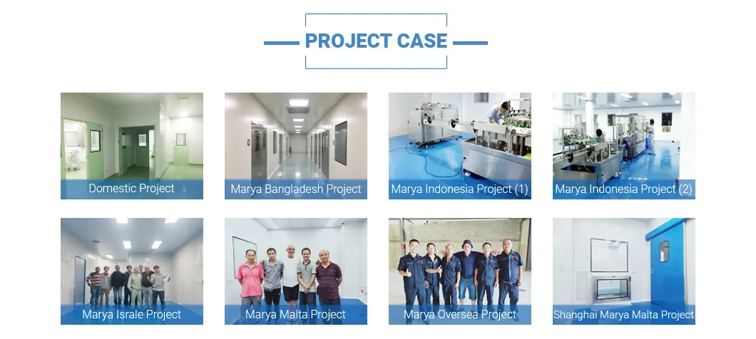 Marya Exquisite Workmanship Filling Capping Machine Production Line for Tinctures