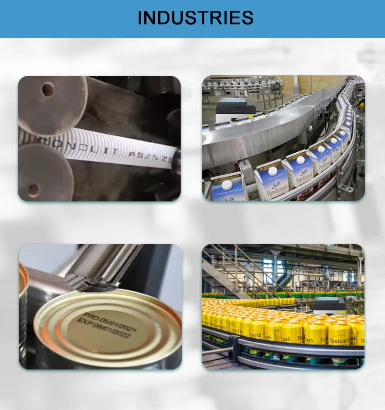 Modular Inkjet Printer Coding Machine for Date/Batch Number/Small Logo