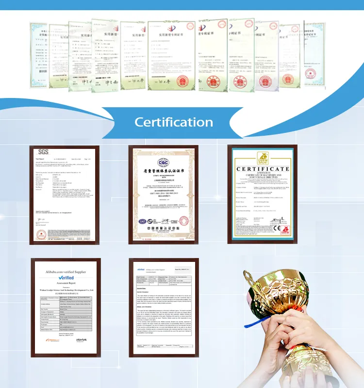 Modular Inkjet Printer Coding Machine for Date/Batch Number/Small Logo