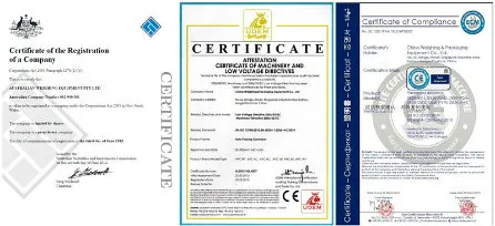 New Complete Weighing Packaging and Palletizing Line for Dry Powder