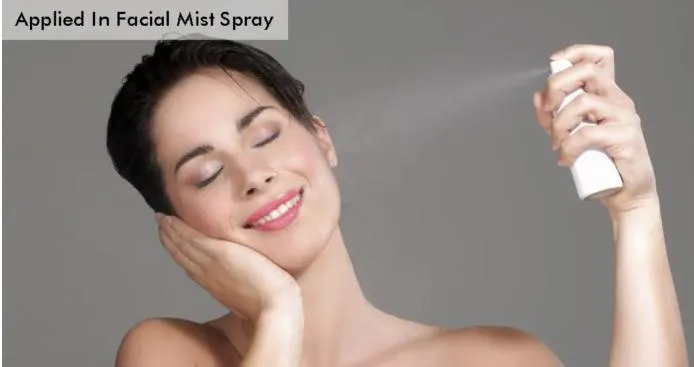 Popular Around The World Bag on Valve Aerosol Filling Machine for Filling Corrosive Products