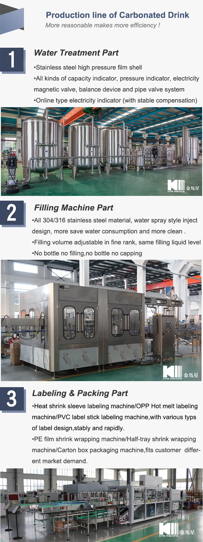 Soft Drink Making Machines/Soft Drink Manufacturing/Sparkling Flavoured Water Plant