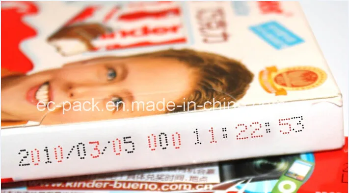 Steel Continuous Inkjet Printer for Expiry Date Printing (EC-JET920)