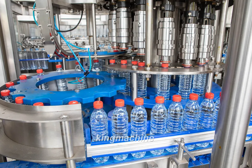 Still Water Bottling Line/Water Production Plant Made in China