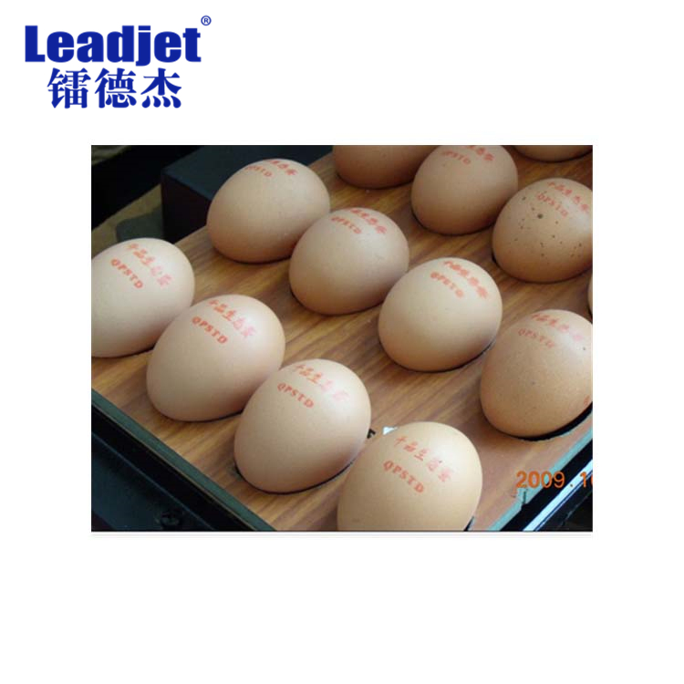 V580 Arabic System Food Packages Inkjet Coding Machine